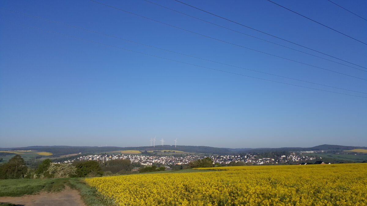 Sonniges, trockenes Frühjahr