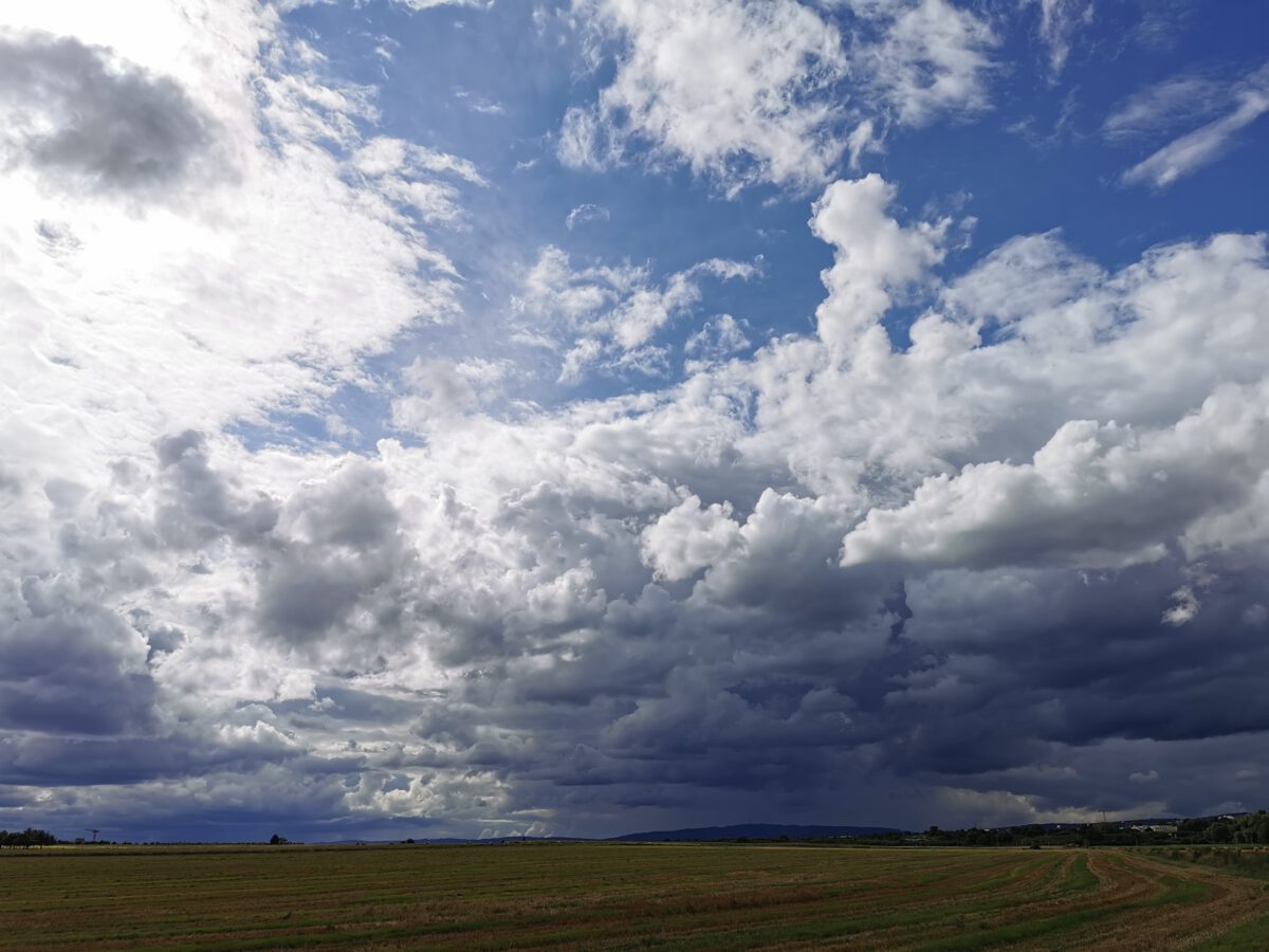 Hochsommer fällt aus